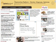Tablet Screenshot of animal-services.com